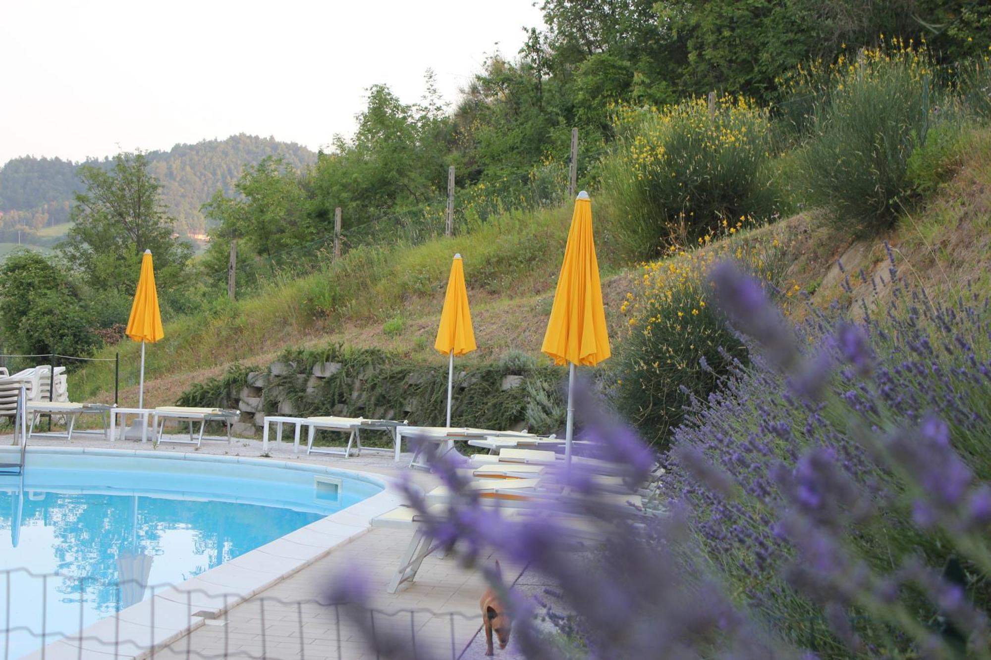 Agriturismo La Valle Del Vento Урбино Екстериор снимка
