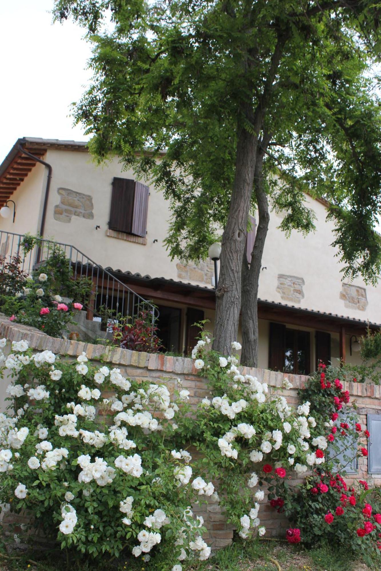 Agriturismo La Valle Del Vento Урбино Екстериор снимка