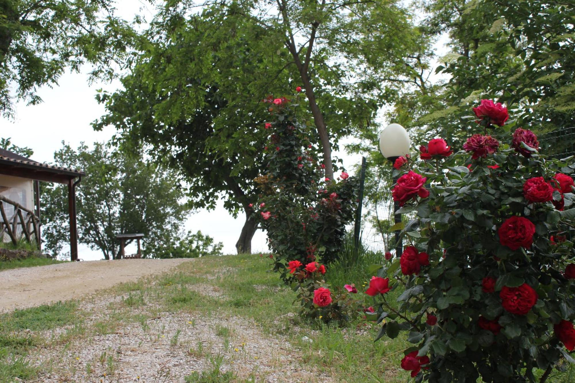 Agriturismo La Valle Del Vento Урбино Екстериор снимка